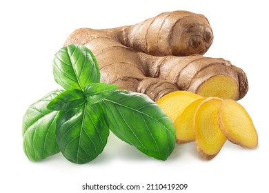 Ginger Root With Fresh Basil Leaves, Isolated