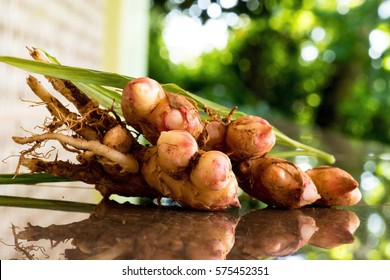 Ginger Root Fresh From Farm 