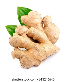 Ginger Root In Isolated White Background.