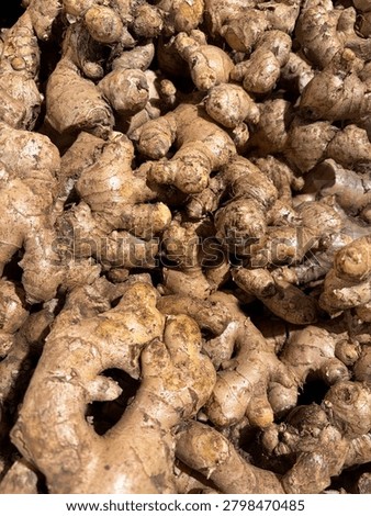 A lot Ginger root in market 