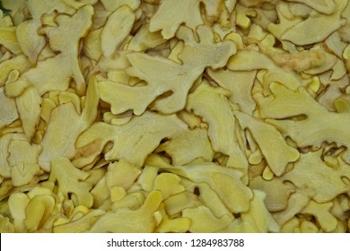 Ginger Root Pattern