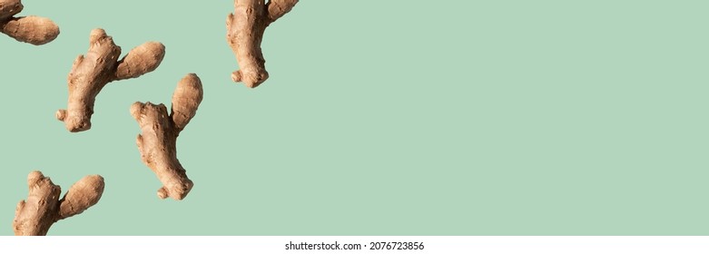 Ginger Root Pattern On Green Background Banner