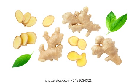 Ginger root with sliced and green leaves collection isolated on white background , clipping path.