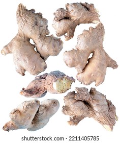 ginger roots on white background