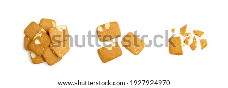Ginger Snap Set Isolated. Broken Rectangular Ginger Nut, Biscuit Square Cookies with Cinnamon, Clove and Nuts Top View