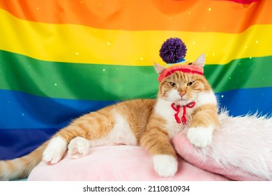 Ginger tabby cat wearing a rainbow hat sitting on edge of a Gay Pride flag with flag extending into the background. Vertical orientation