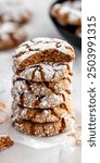 Gingerbread Crinkle Cookies , homemade chocolate crinkles cookies powdered sugar and pieces of chocolate on white background.