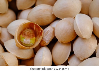 Ginkgo Biloba (seed)