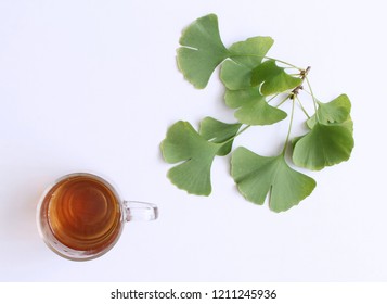 Ginkgo Biloba Tea And Ginkgo Biloba Leaves. Infusion Made From Ginkgo Biloba Leaves. Medicinal Herb Ginkgo Biloba. The Concept Of Healthy Nutrition. Top View.