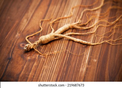 Ginseng 