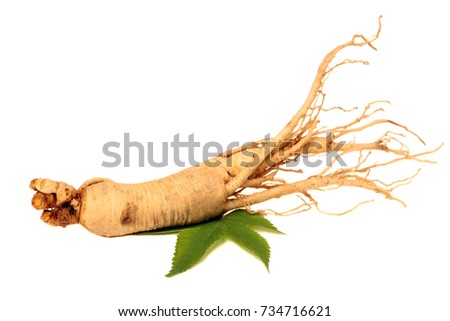 Ginseng