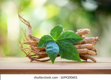 Ginseng And Green Leaf On A White Background.
