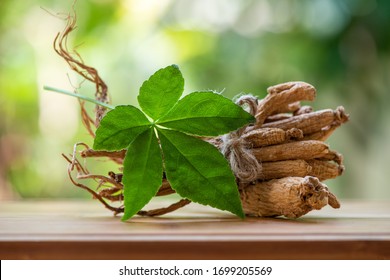 Ginseng And Green Leaf On A White Background.