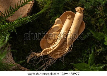 Ginseng roots and slices on rectangle wooden plate on natural background with green moss, leaves and twig. Background with copy space for advertising product