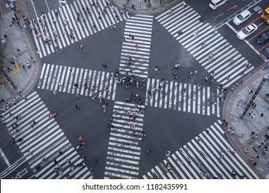 Ginza Crossing Birds Eye View         