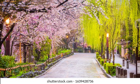 Gion Shirakawa, Kyoto, Japan Old Town Streets In Spring.