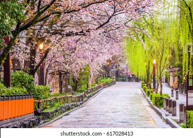 Gion Shirakawa, Kyoto, Japan In Spring.