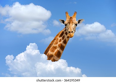 5,802 Head above clouds Images, Stock Photos & Vectors | Shutterstock