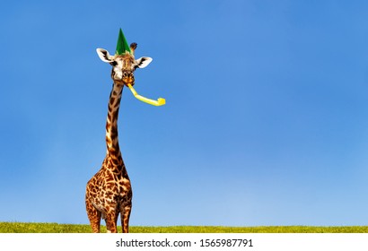 Giraffe blowing birthday whistle over blue sky - Powered by Shutterstock