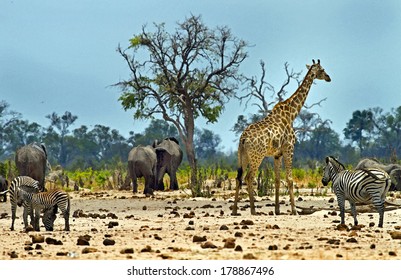 2,884 African landscape painting Images, Stock Photos & Vectors ...