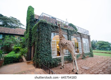 Giraffe Manor at Nairobi Kenya