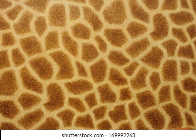 Giraffe Skin