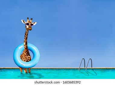 giraffe-stand-inside-pool-inflatable-260nw-1603685392.jpg