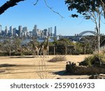 Giraffes at Taronga Zoo and Sydney’s Harbour 