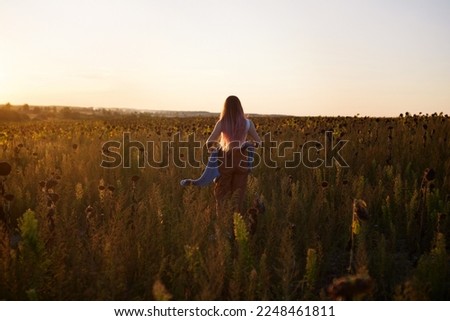 Similar – Image, Stock Photo Sunset Vacation & Travel