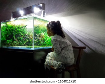 Girl Admiring Aquarium In His House At Night