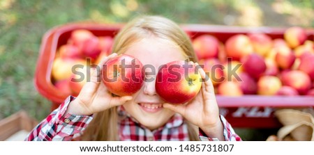 Girl with Apple holding in front of her face in the Apple Orchard. Beautiful Girl Eating Organic Apple in the Orchard. Harvest Concept. Garden, Toddler eating fruits at fall harvest. Apple pi