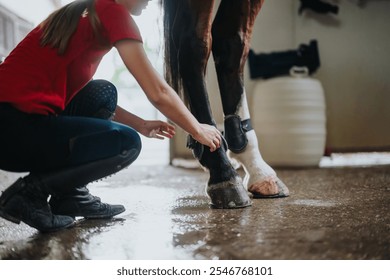 Girl attending to a horse's leg in a stable. Emphasizing equine care, grooming, and hygiene for healthy animal. - Powered by Shutterstock