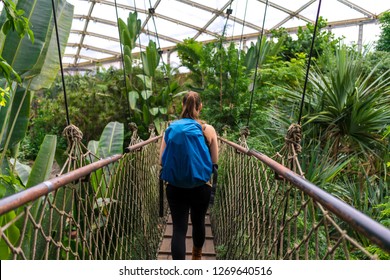 Girl with a backpack walking over a suspension bridge in the jungle