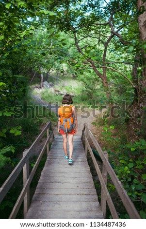 Similar – Image, Stock Photo wooden bridge Trip Freedom