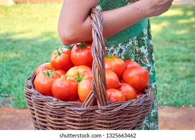 Girl With A Basket Of Tomatoes, Hanging On Her Arm.