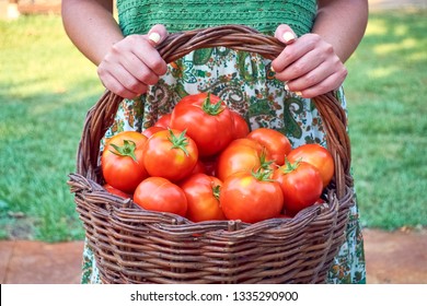 Girl With A Basket Of Tomatoes, Hanging On Her Arm.