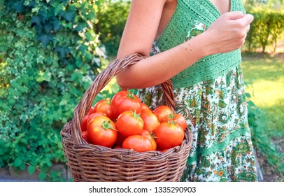 Girl With A Basket Of Tomatoes, Hanging On Her Arm.