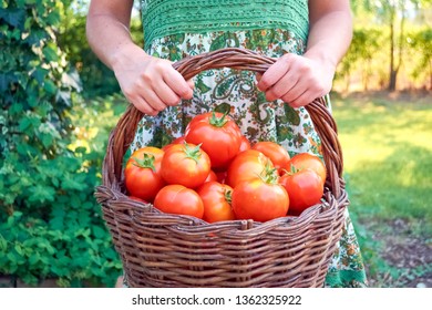 Girl With A Basket Of Tomatoes, Hanging On Her Arm.