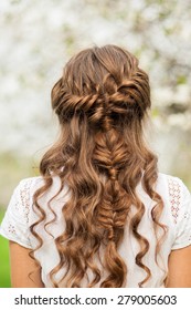 Girl With Beautiful  Braid Hairstyle, Rear View