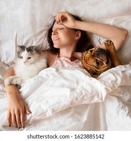 Girl In Bed With Cat And Dog