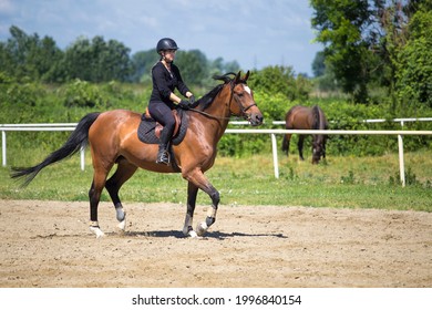 The Girl In Black Rides A Sorrel Horse In Rinriding School