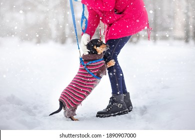 Girl In Black Shoes On A Walk With A Dog On A Leash In A Winter Park On A Snow-covered Path