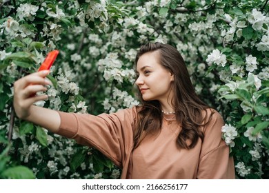 Girl In Blooming Apple Tree Using Smartphone Video Call Outdoor Nature