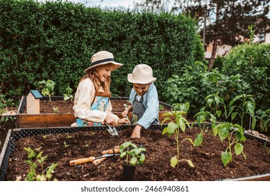 Girl and boy taking care of small vegetable plants in raised bed, holding small shovel. Childhood outdoors in garden. - Powered by Shutterstock