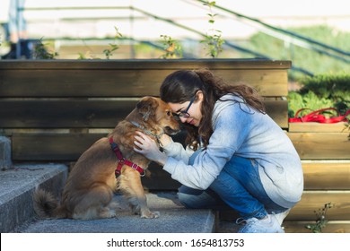 
Girl Caresses A Dog And They Support Their Head On Some Stairs