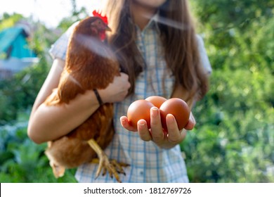 A girl with a chicken and eggs in her hands on a sunny day. Subsistence farming and organic food concept