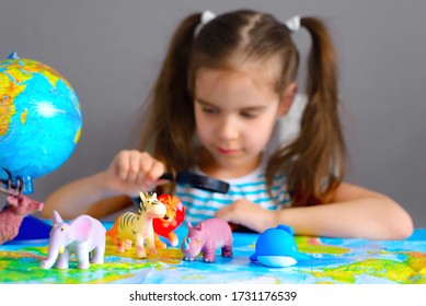 Girl Child Studies The Animal World With The Help Of A Map And Toy Animals: Lion, Deer, Zebra, Rhinoceros, Their Habitat. Distance, Family Education Concept.