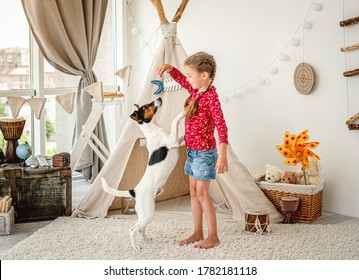 Girl Child Training Fox Terrier Dog In Light Kids Room