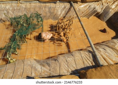 Girl Climbing Through A Mud Hole