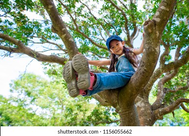 Girl Climbing A Tree